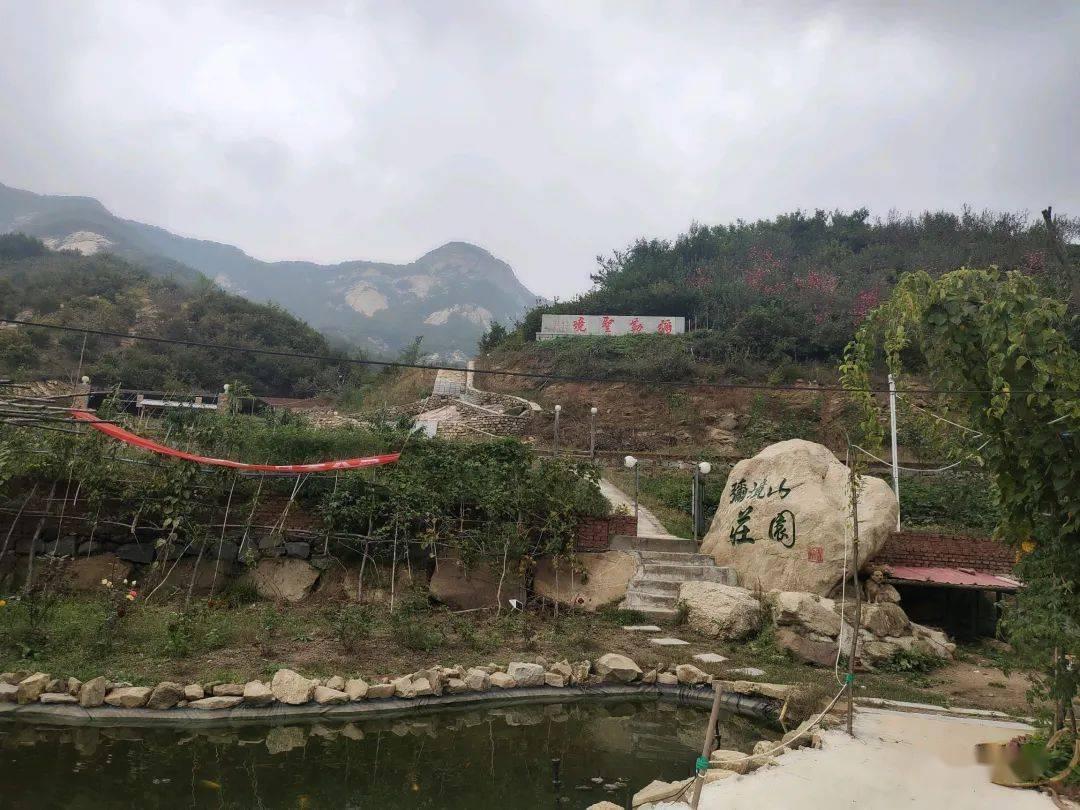 全民剧本大师内置菜单